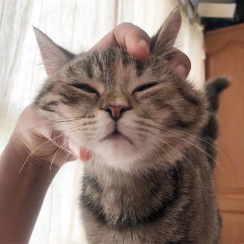 สมาชิกหมายเลข 5566759