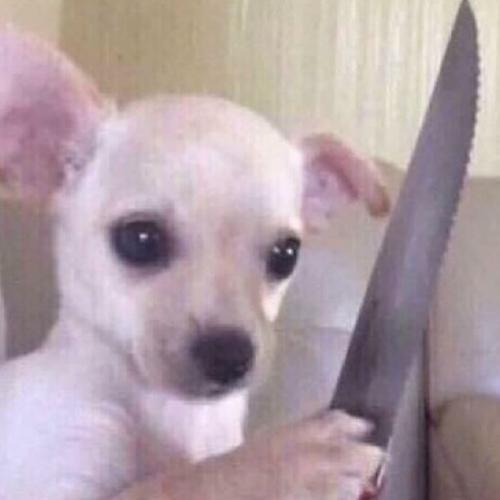 สมาชิกหมายเลข 4657691