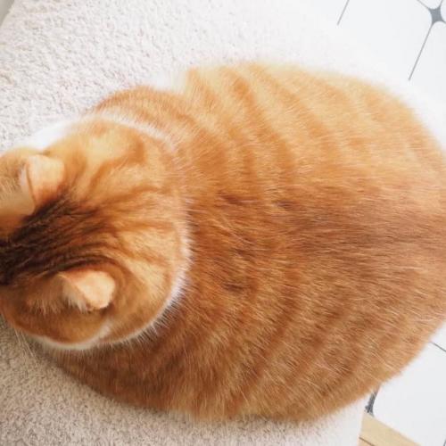 สมาชิกหมายเลข 6728117