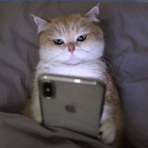 สมาชิกหมายเลข 6750022