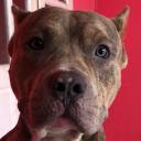 สมาชิกหมายเลข 4443013