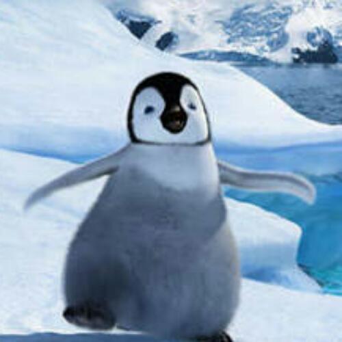 สมาชิกหมายเลข 2363584