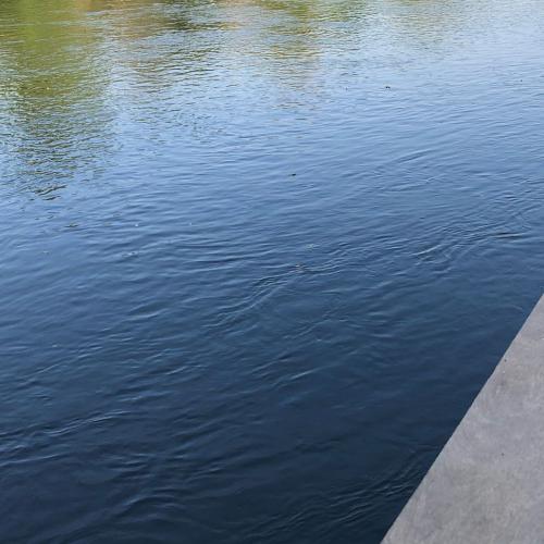 สมาชิกหมายเลข 4766724