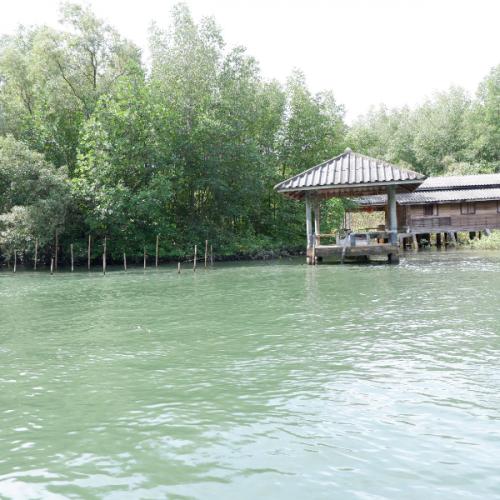 สมาชิกหมายเลข 5114659