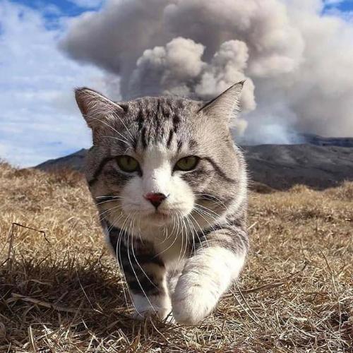 สมาชิกหมายเลข 3002070