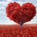 สมาชิกหมายเลข 5567325