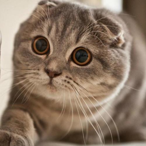 สมาชิกหมายเลข 1765381