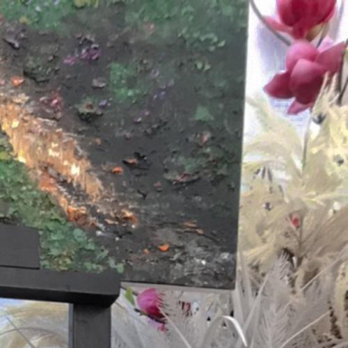 สมาชิกหมายเลข 5934620