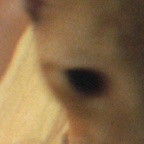 สมาชิกหมายเลข 7256679