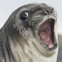 สมาชิกหมายเลข 1440558