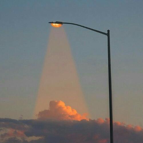 สมาชิกหมายเลข 5164285