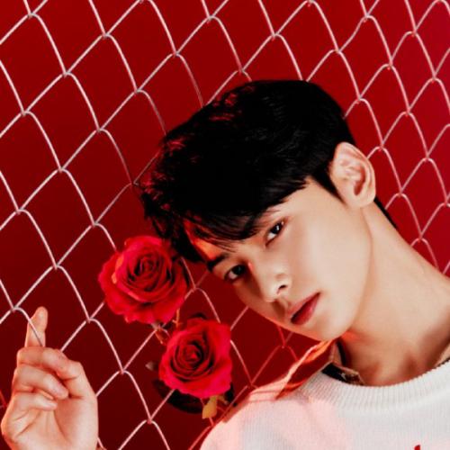 สมาชิกหมายเลข 6126300