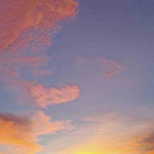 สมาชิกหมายเลข 6533755