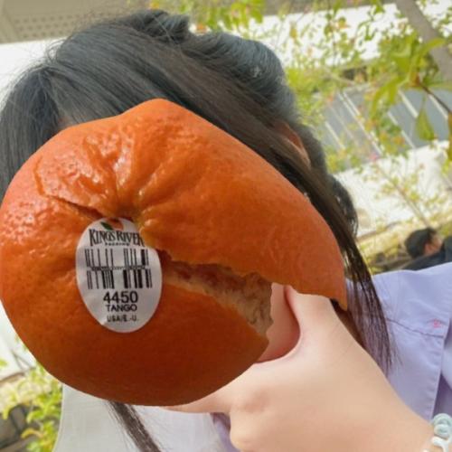 สมาชิกหมายเลข 4568856