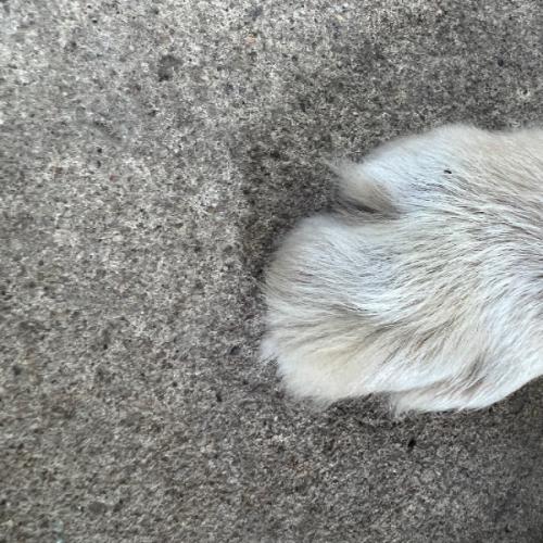 สมาชิกหมายเลข 7009916