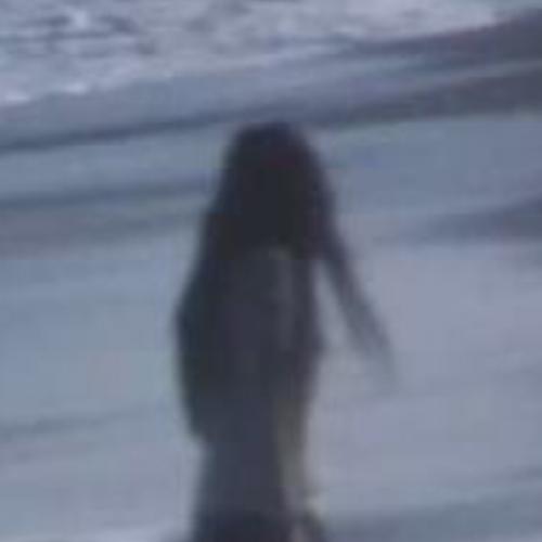 สมาชิกหมายเลข 7486073