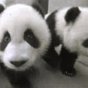 สมาชิกหมายเลข 3596007