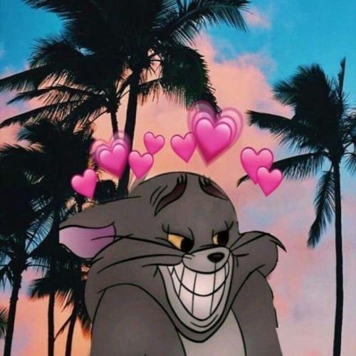 สมาชิกหมายเลข 4847328