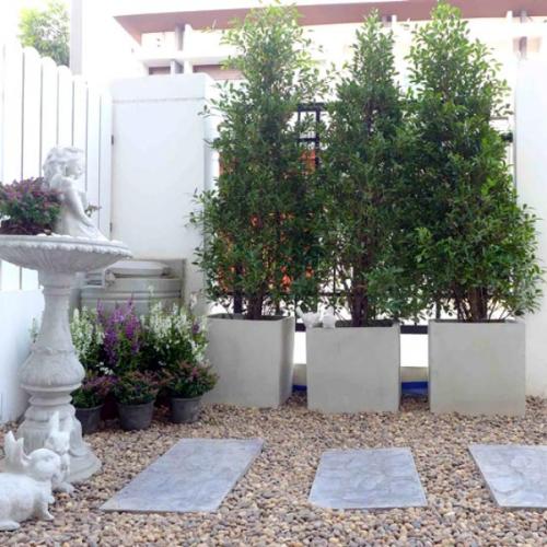 สมาชิกหมายเลข 6060313