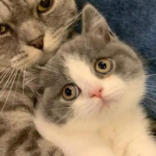 สมาชิกหมายเลข 6678302