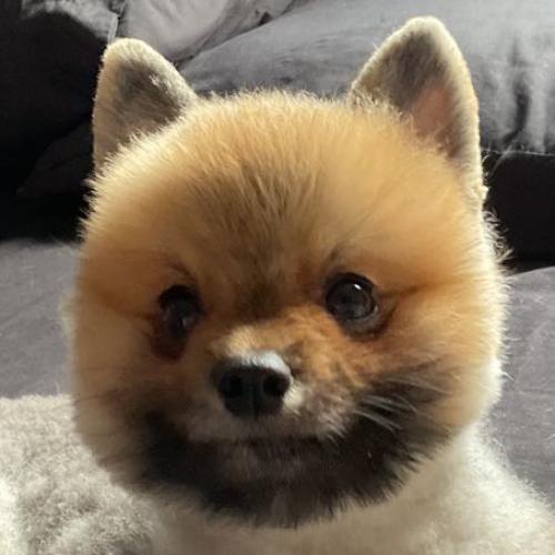 สมาชิกหมายเลข 5224063