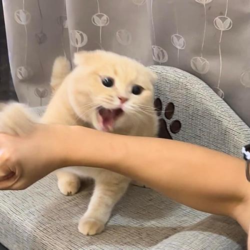 สมาชิกหมายเลข 7518717