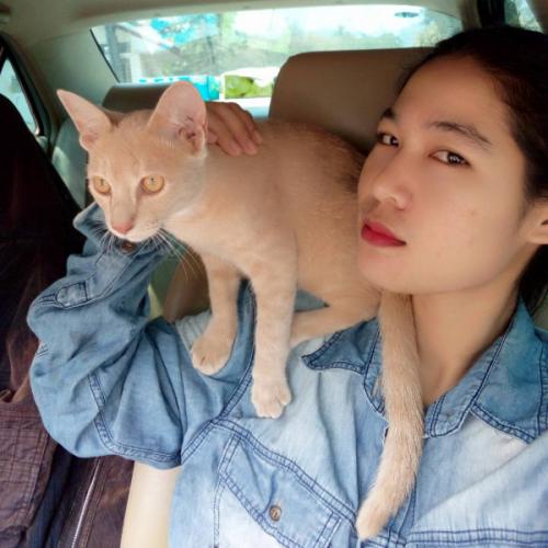 สมาชิกหมายเลข 4316711