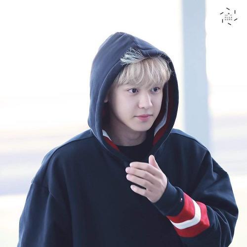 สมาชิกหมายเลข 4477162