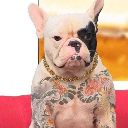 สมาชิกหมายเลข 1005355