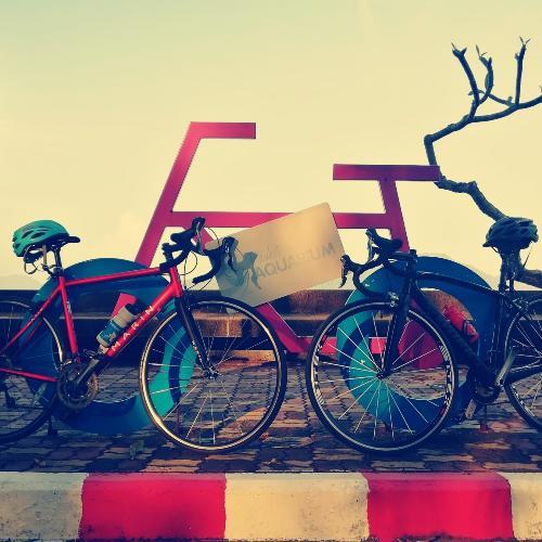 สมาชิกหมายเลข 4158633