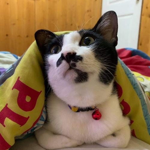 สมาชิกหมายเลข 6152725