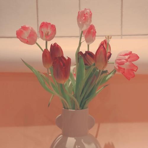 สมาชิกหมายเลข 6752153