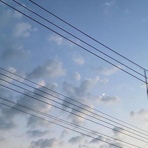 สมาชิกหมายเลข 8421895