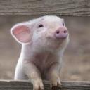 สมาชิกหมายเลข 4444502