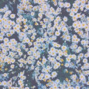 สมาชิกหมายเลข 3154164