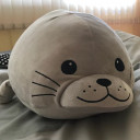 สมาชิกหมายเลข 5165304