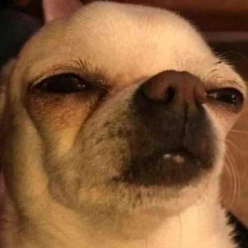 สมาชิกหมายเลข 6127785