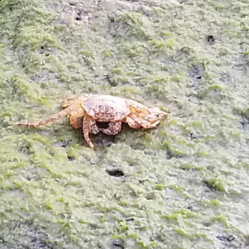 สมาชิกหมายเลข 6128057