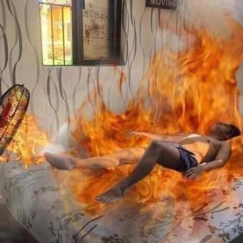 สมาชิกหมายเลข 4701595