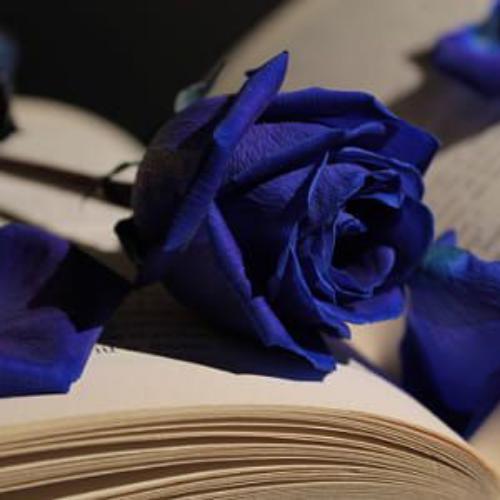 สมาชิกหมายเลข 6015520