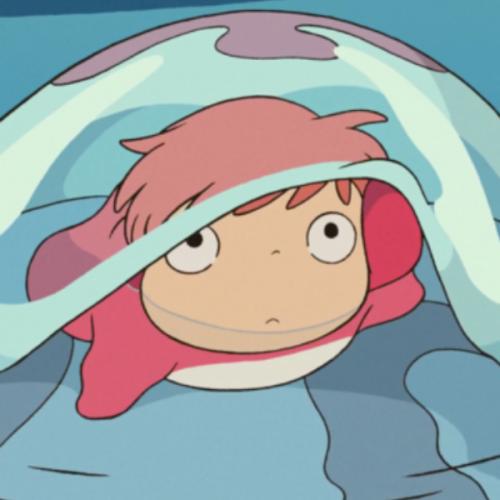 สมาชิกหมายเลข 6752911