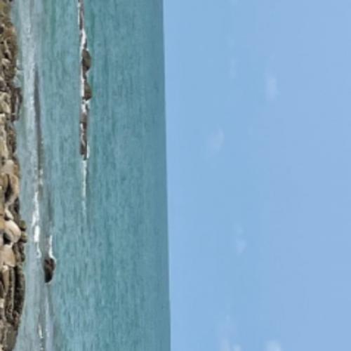 สมาชิกหมายเลข 4522788