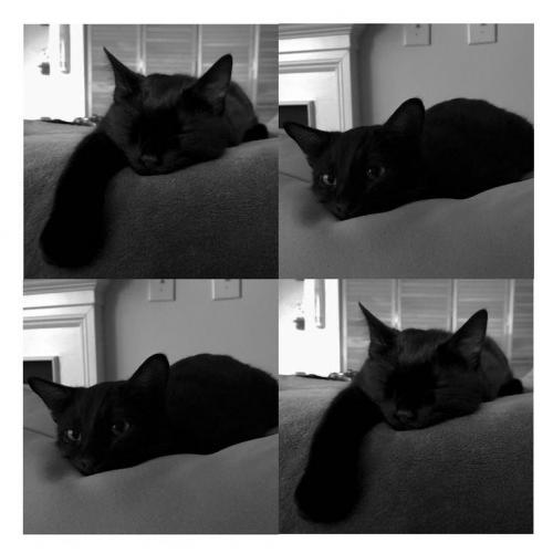 สมาชิกหมายเลข 8430139