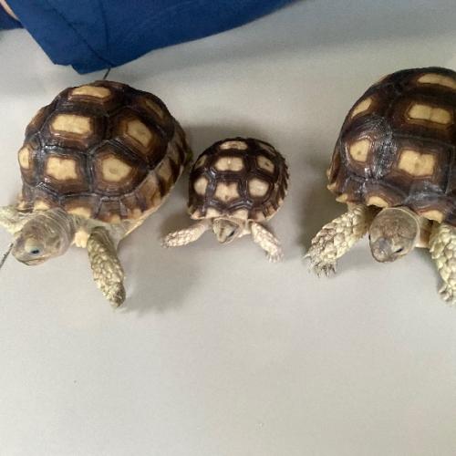 สมาชิกหมายเลข 8430486