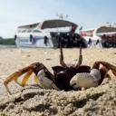 สมาชิกหมายเลข 1209398