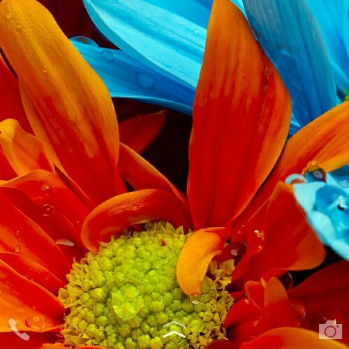 สมาชิกหมายเลข 4390122