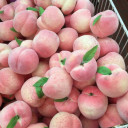 สมาชิกหมายเลข 2131654