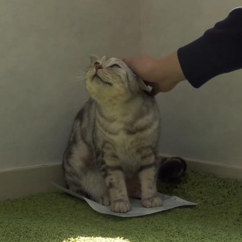 สมาชิกหมายเลข 4839770