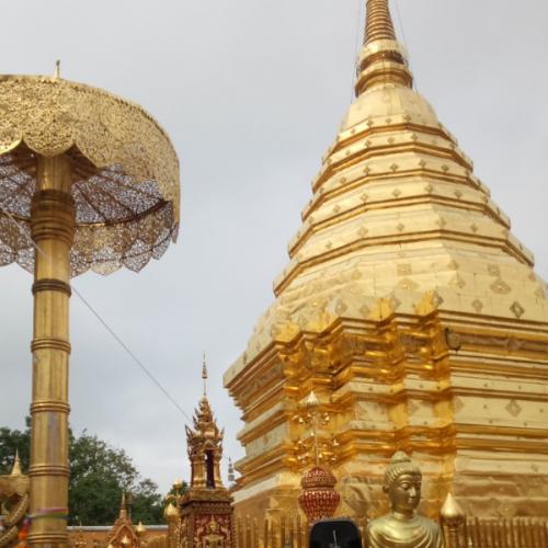 สมาชิกหมายเลข 5165652