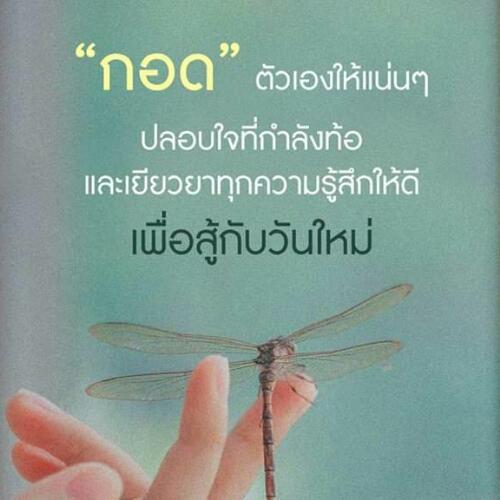 สมาชิกหมายเลข 5165988